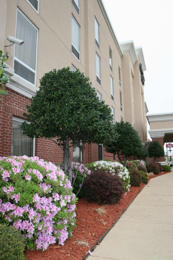 Hampton Inn By Hilton Shreveport Airport, La Main image